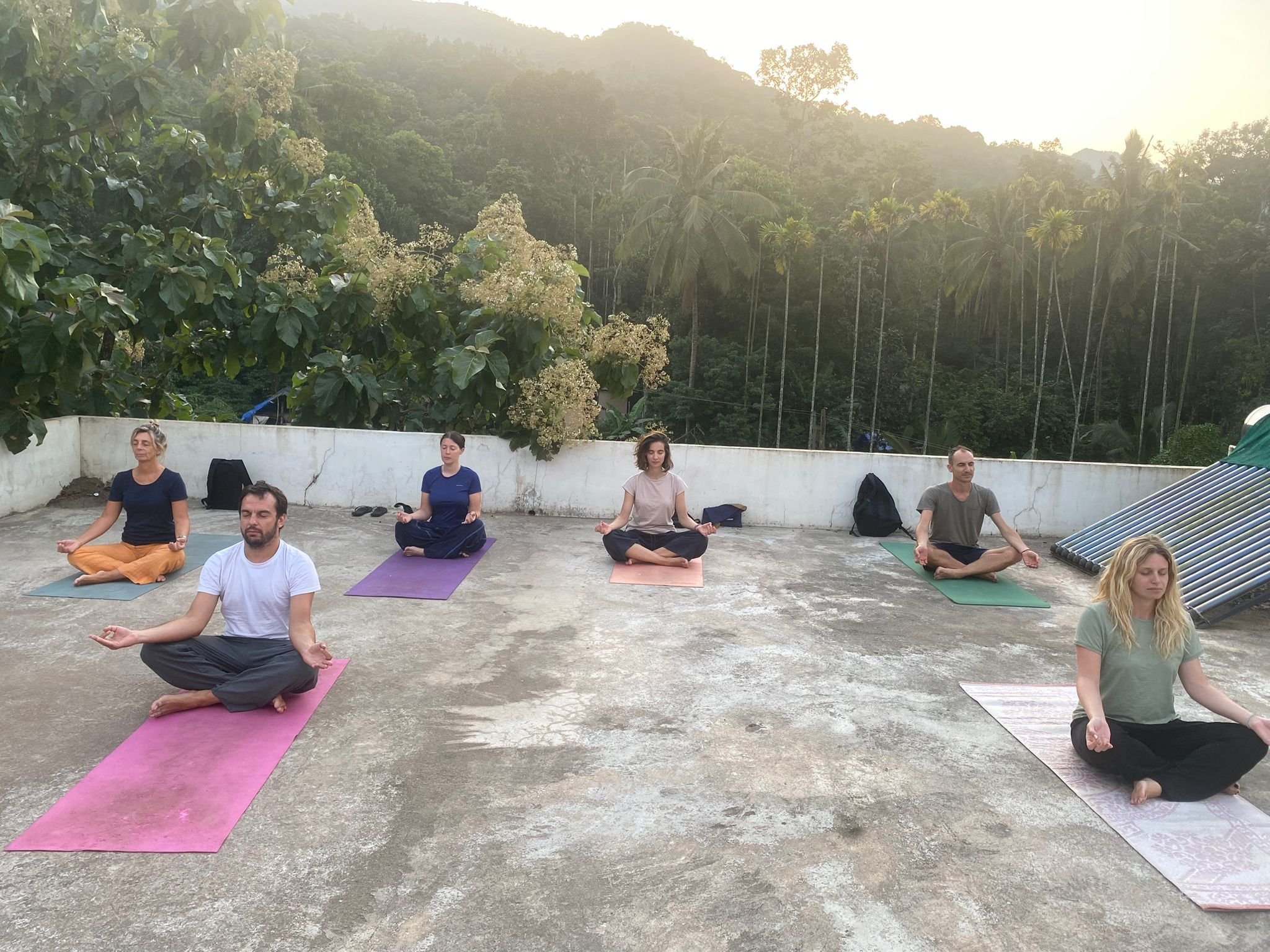 Yoga Sessions at Ayushpathy